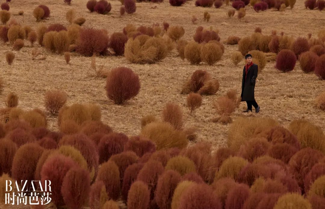 大鹏的电影剧情,大鹏的最新电影主要讲的什么故事