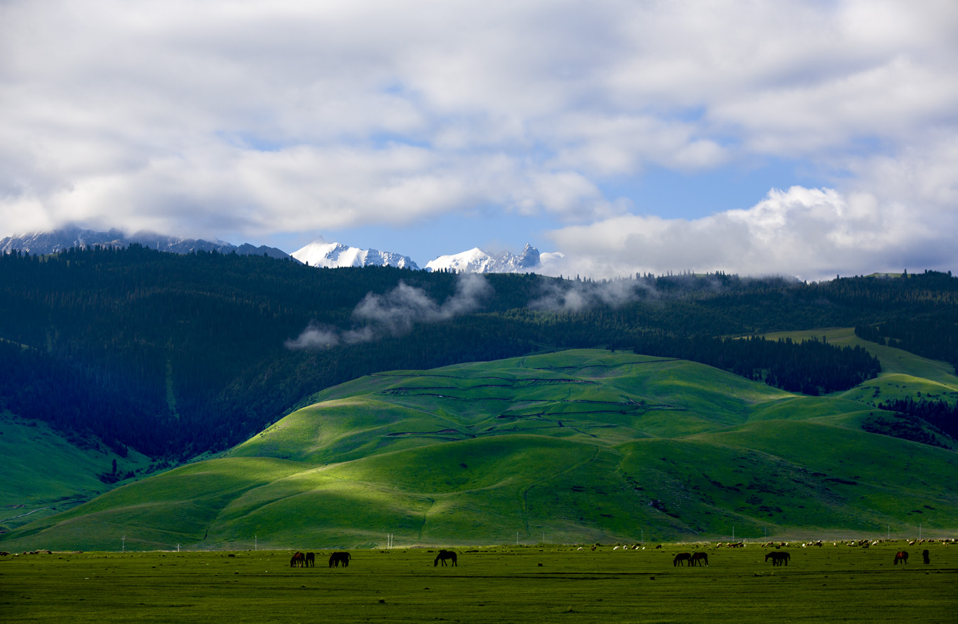散文|李娟：富裕的肥皂