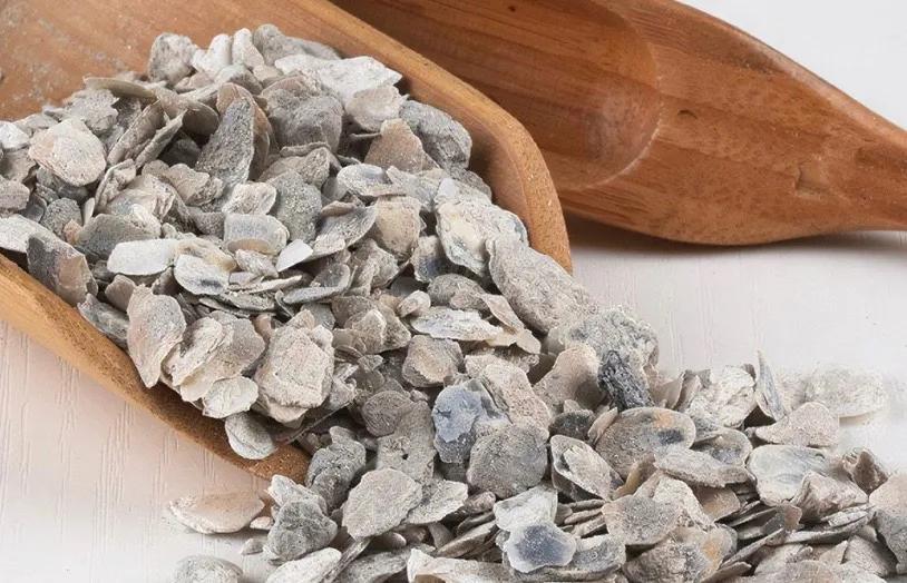 生牡蛎有软坚散结的作用吗,中药牡蛎真能软坚散结吗