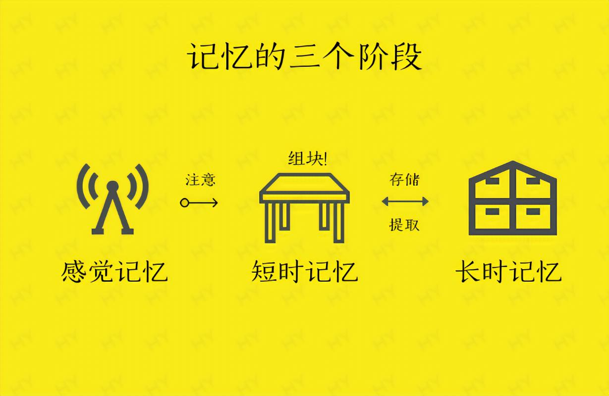 十个顶级思维建议,如何成为一个领域的顶尖专家