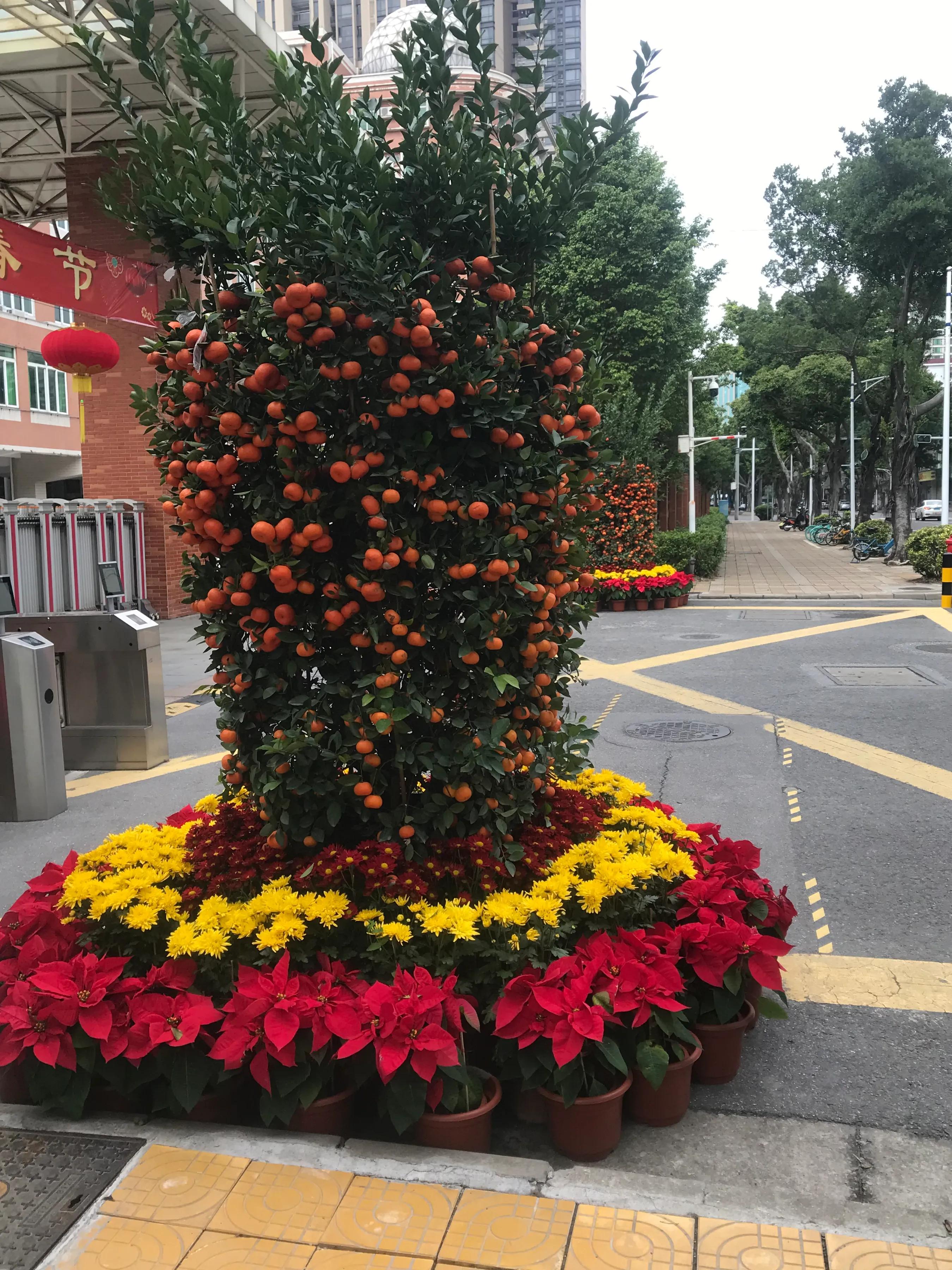 什么会影响企业具体的营销策略,企业线上线下创新营销渠道策略