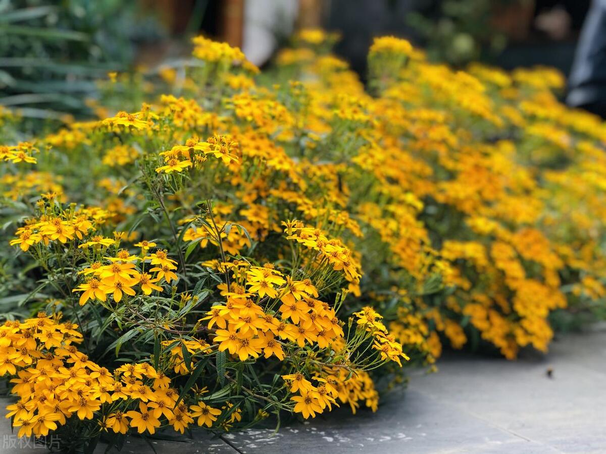 我爱的人，你是此生难忘，是我牵肠挂肚的念想