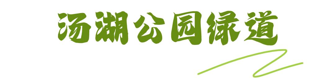 最美绿道骑行攻略,淘金山骑行绿道和东湖骑行绿道