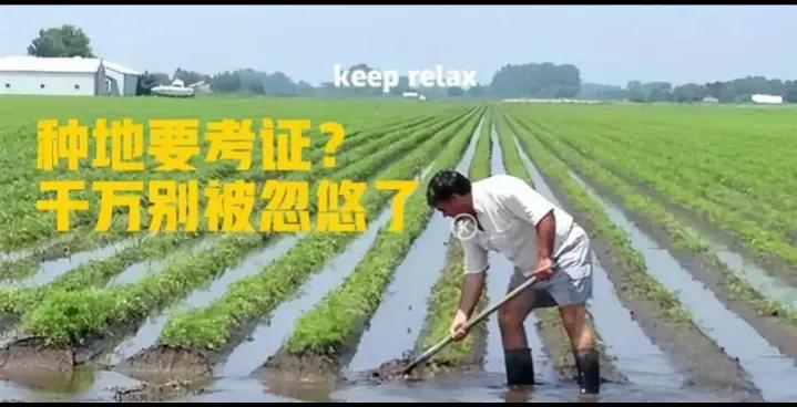 农民证有什么补贴,村里有好几种证可以领补贴