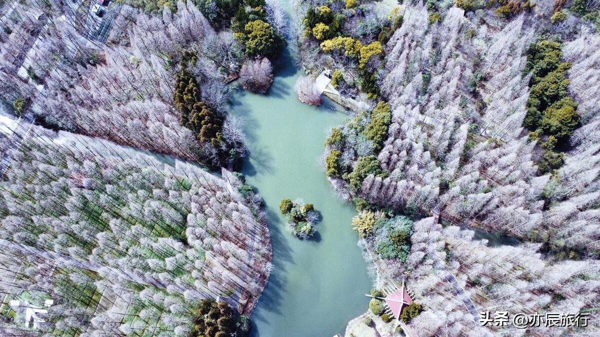 上海周边旅游攻略景点最新,上海周边最新旅游推荐景点