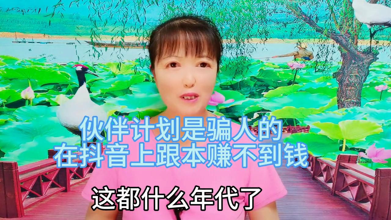 伙伴计划赚钱吗,伙伴计划为什么没有收益了