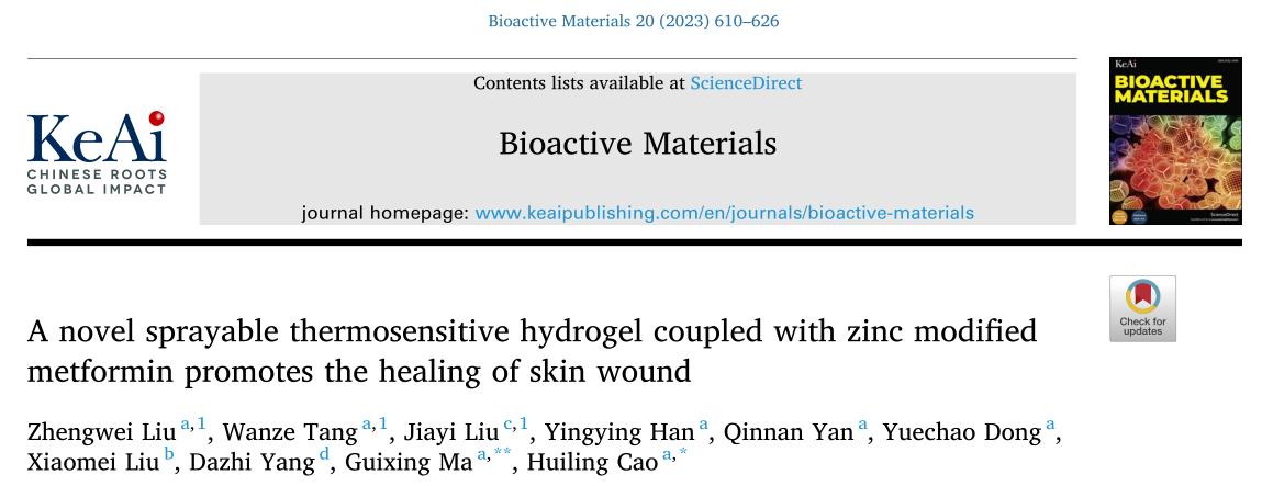 「科研快报」可喷雾热敏水凝胶与锌修饰二甲双胍促进皮肤创面愈合