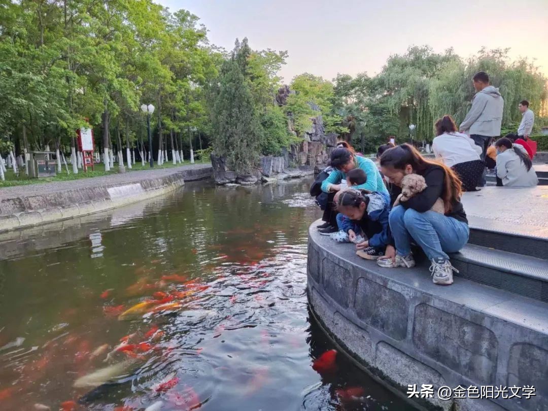 小学作文心爱之物点评,心爱之物300字作文