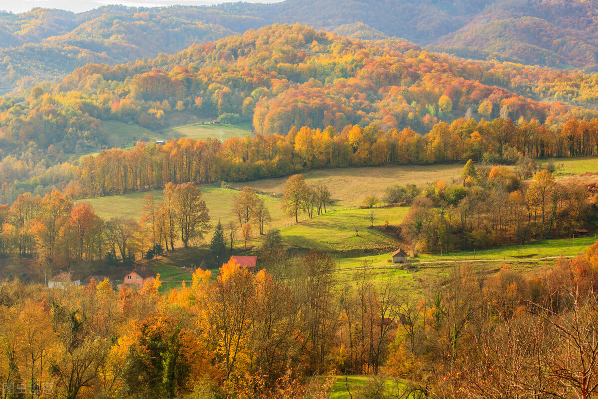 米兰的按摩院（下）