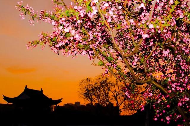 关于春风的诗100首,春风诗词作品欣赏