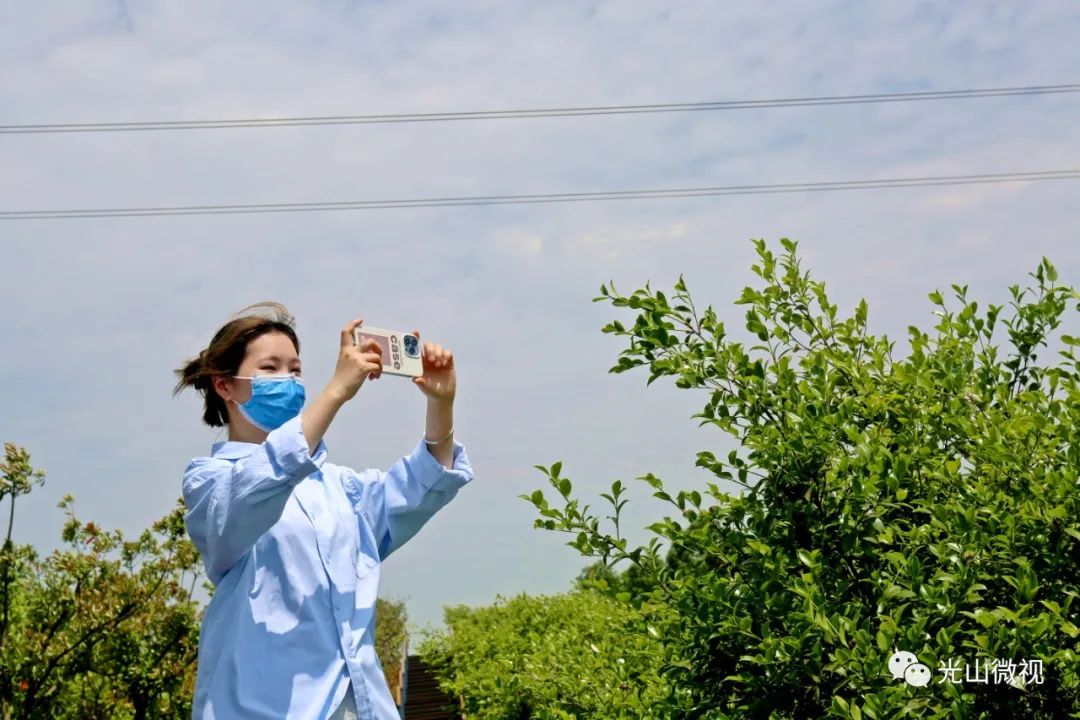 光山县司马光油茶园,河南光山司马光油茶园