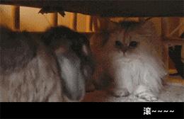 吃避孕药改善痘痘月经期还要吃吗,避孕药没效果会不会来大姨妈