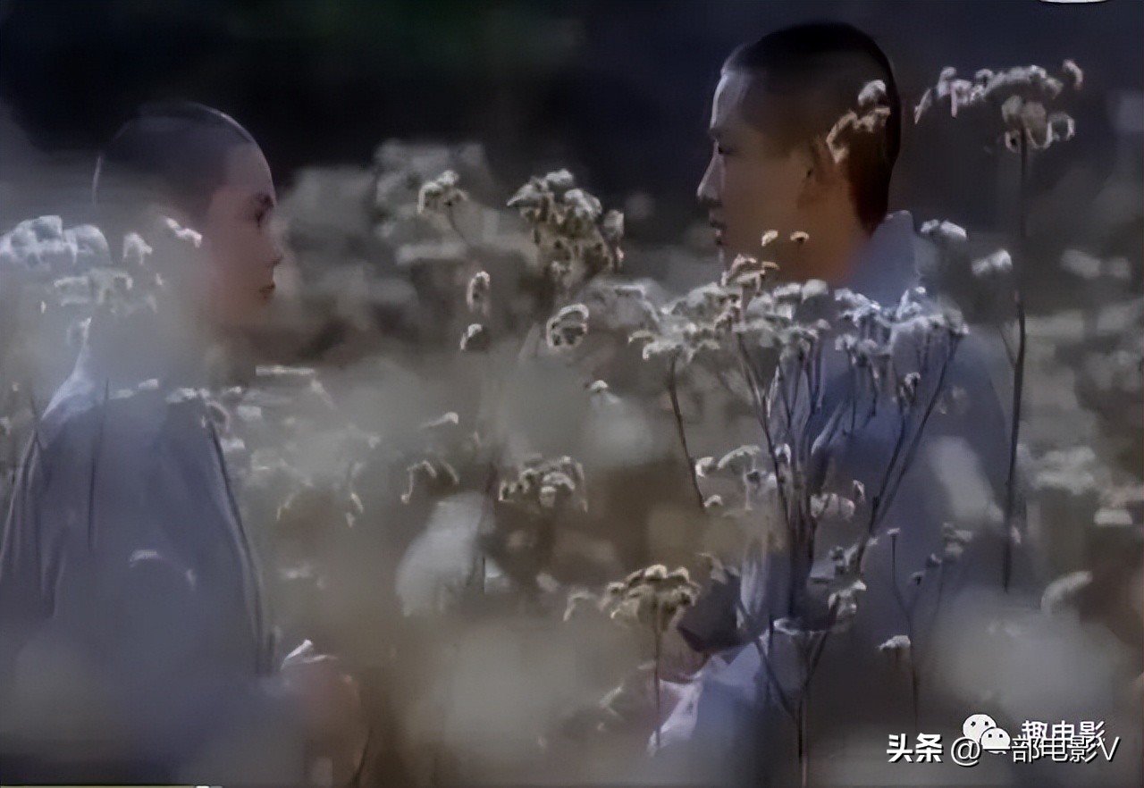 灞卞娈嬭姳,灞卞娈嬭姳楂樻竻