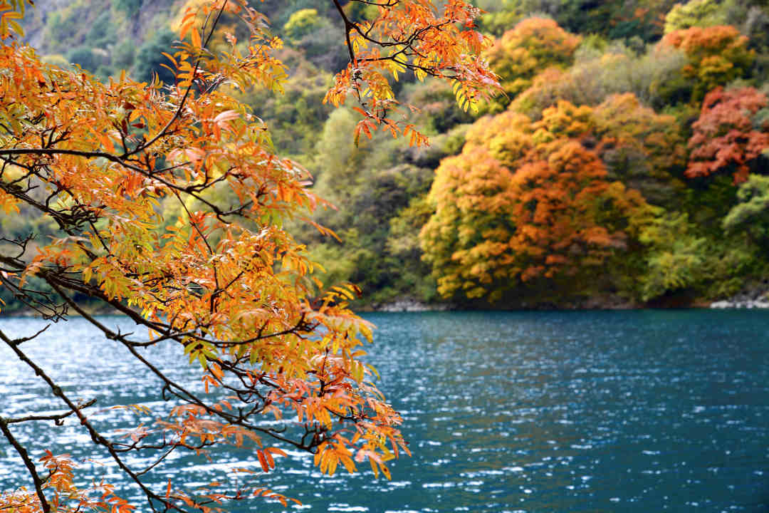 一天来回！别名“小九寨”的油画秋色、高山草甸，一站式游玩到底