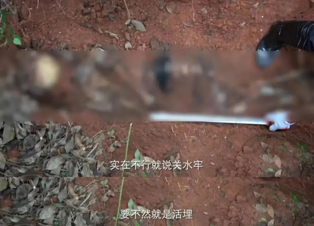 她的逆天黑料，比你想象中还多