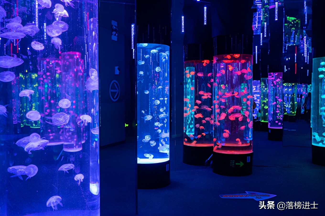 成都浩海立方的海洋馆游玩攻略,浩海立方成都海洋馆世界之最