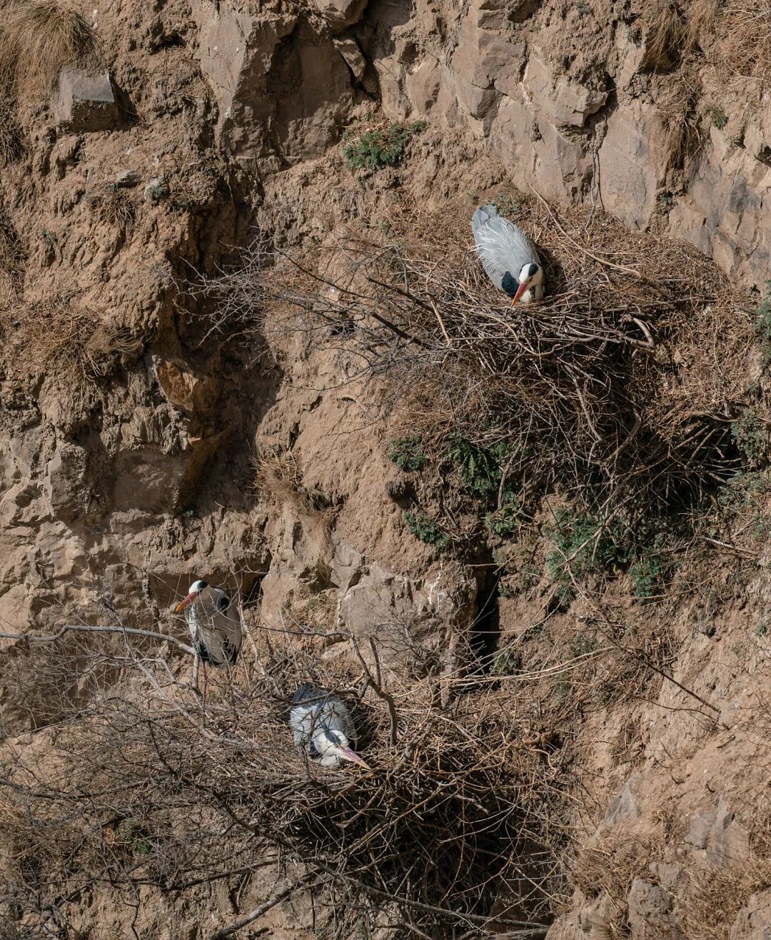 迎接党的20大美术作品,喜迎二十大乡村摄影展