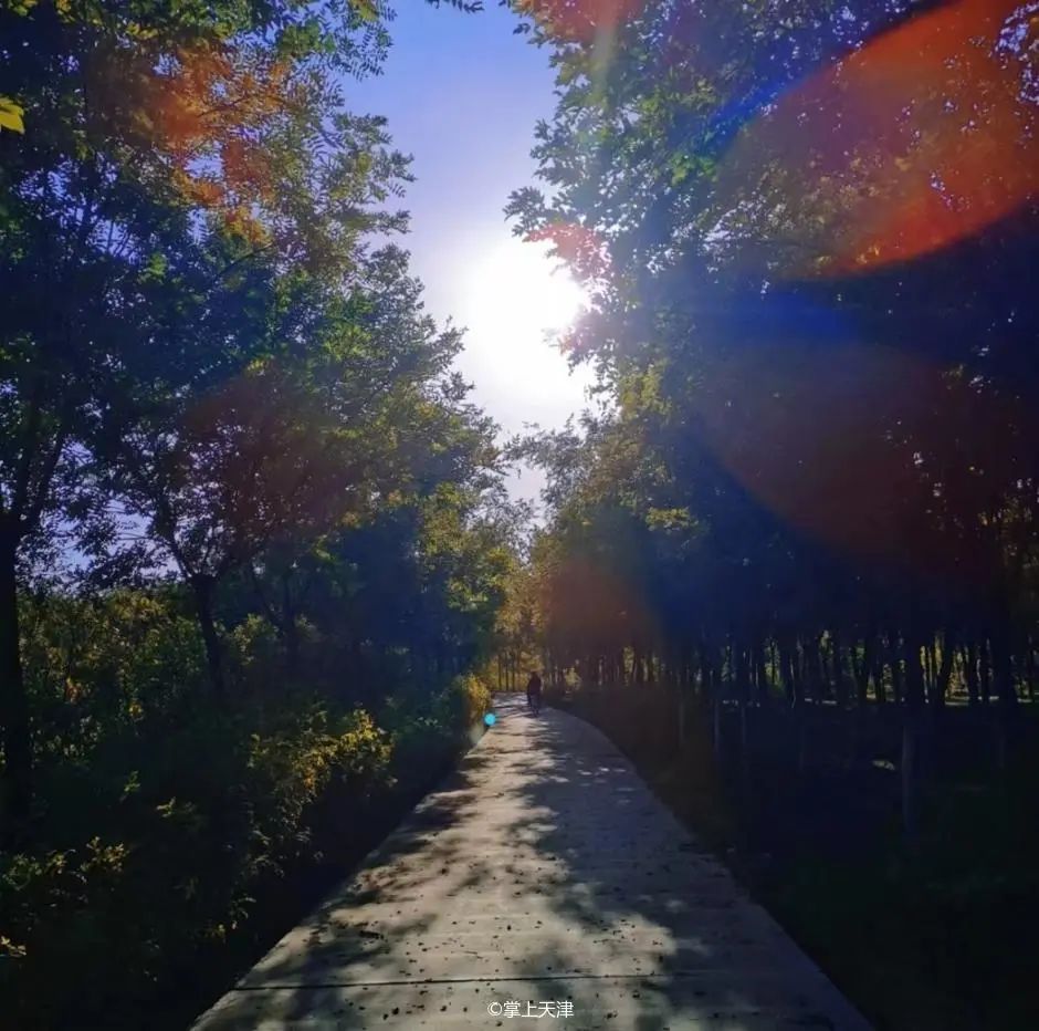 天津最好的私人公园,天津小众拍照圣地