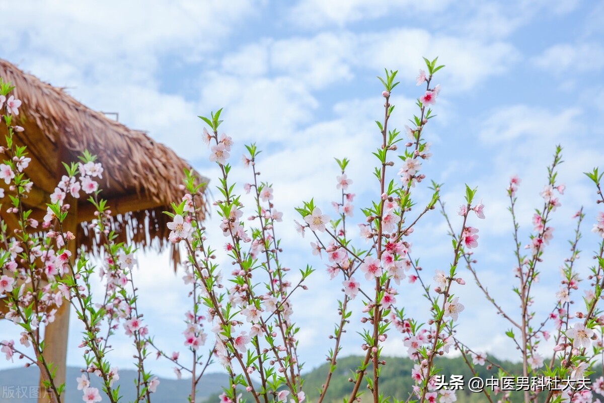 肾气不足骨痿是什么症状,脾虚阳痿怎么治