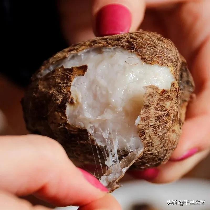 云南高山新鲜奶油芋头,云南奶油芋头做法大全