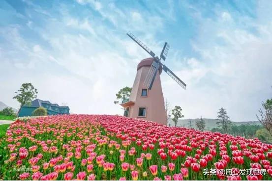 荷兰黄赌毒都是合法的吗,荷兰对于黄赌毒的管控是否有限制