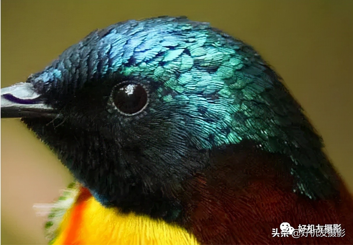 手机拍照片怎么拍出质感风景,拍的照片没有质感