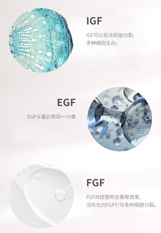 修护保湿面霜新版,韩国chaga面霜