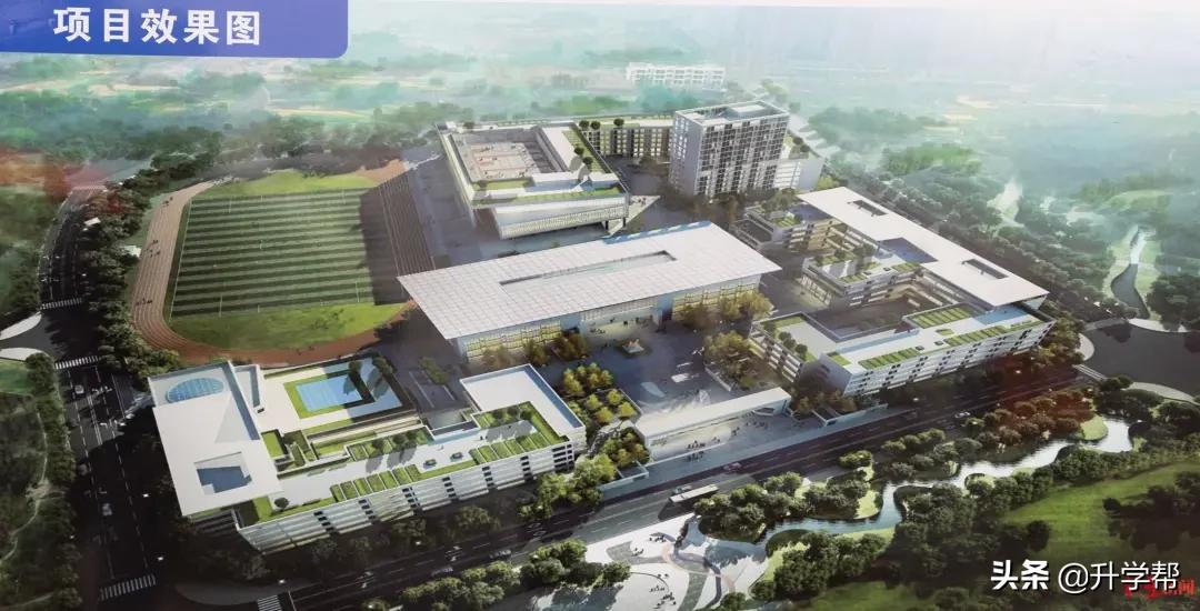 成都列五高中2022年招生计划,成都热门高中