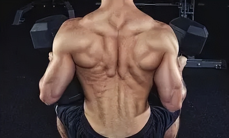 训练背部没感觉？教你掌握练背技巧，感受身体张力，强大背部肌肉