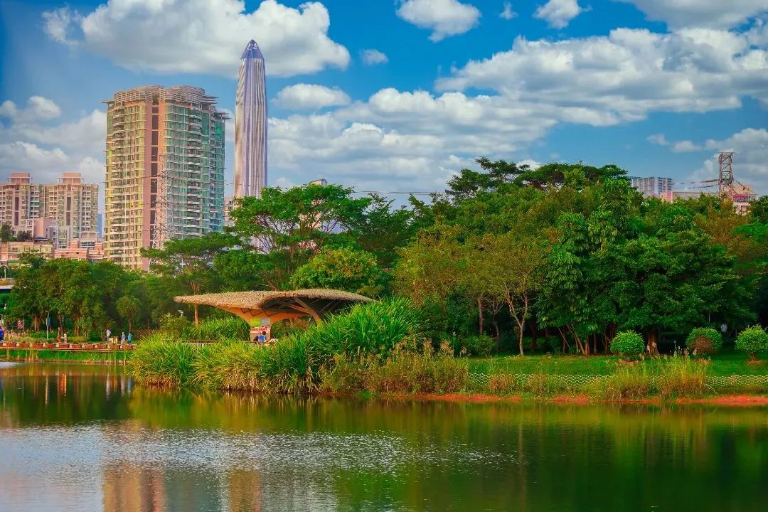 深圳福田免费公园排名前十名,福田中心公园游玩攻略