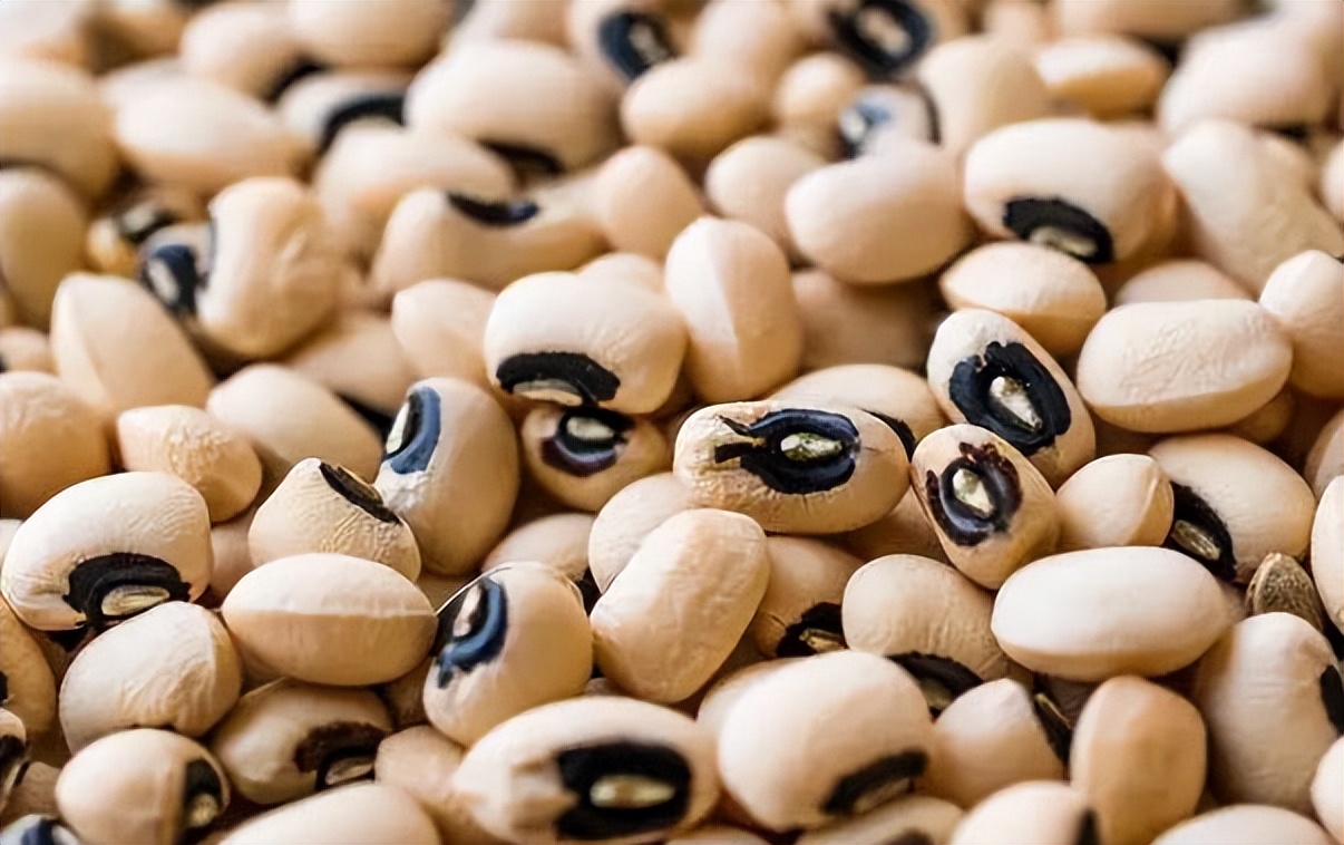 天然含叶酸食物有哪些,含天然叶酸食物有哪些