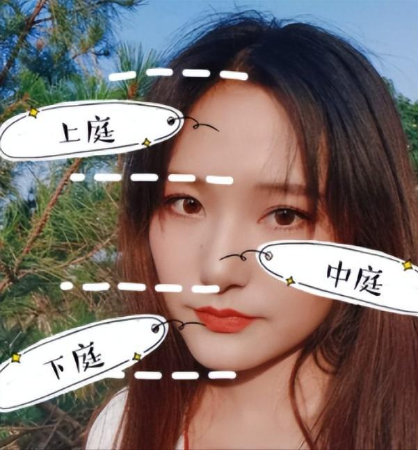 脸长适合高颅顶吗,什么脸型的人不适合高颅顶