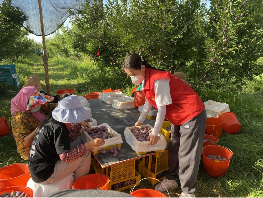 ▶特区•关注民生|库鲁斯社区：人大代表践初心助农销售显担当