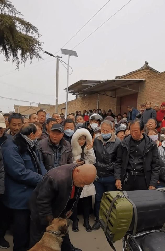 陕西民间绝活，狗踩人头！大爷和马犬的配合太绝了！