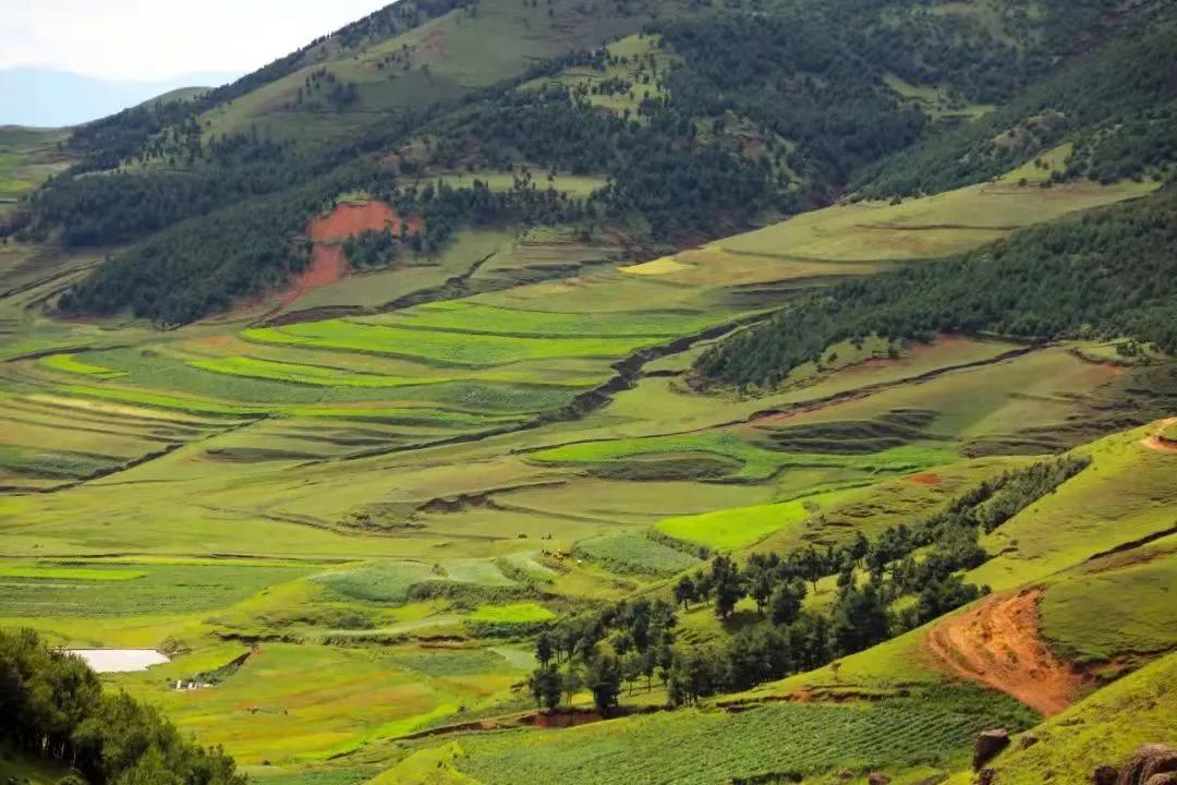 云南旅游避暑景点有哪些地方好耍,云南避暑美食胜地