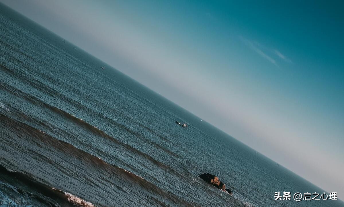 梦中的那片海肖春生创业成功了没,梦中的那片海肖春生开始创业