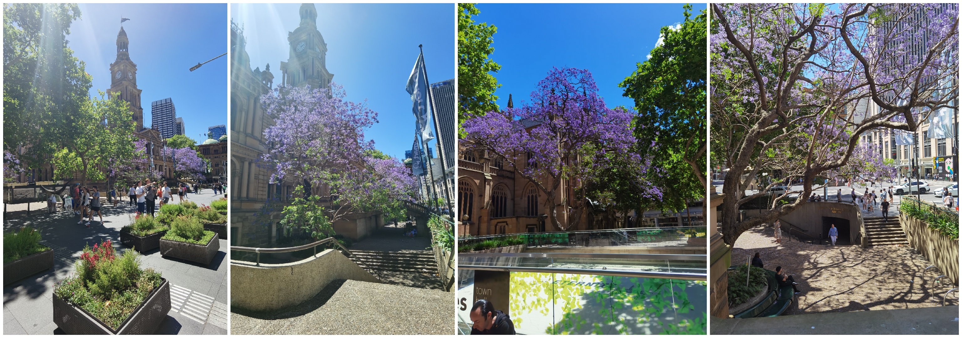 悉尼四天自由行,意犹未尽韩语版