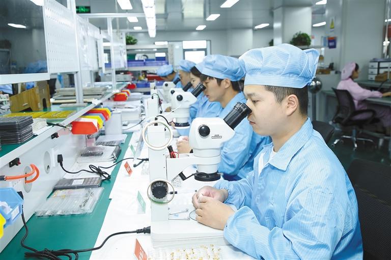 为高质量发展蓄势赋能开局谋篇,高质量发展量质齐升