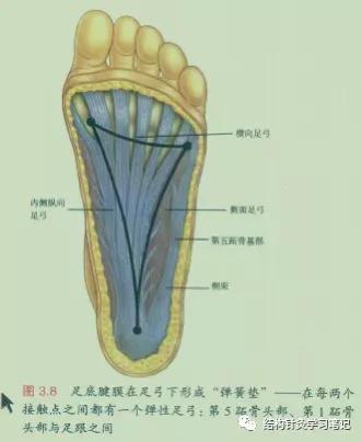 拔罐中的走罐,拔罐走罐视频