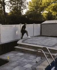 “是小蛇出了轨，还是青蛙劈了腿？”这是现实版的美杜莎？哈哈