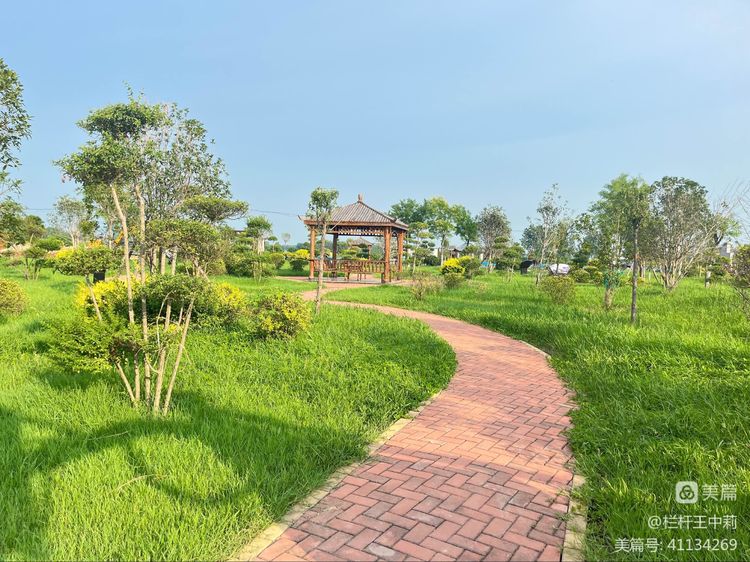 平安淮滨新变化丨淮滨县栏杆街道:喜迎二十大,夸夸我的家乡王湾新变化