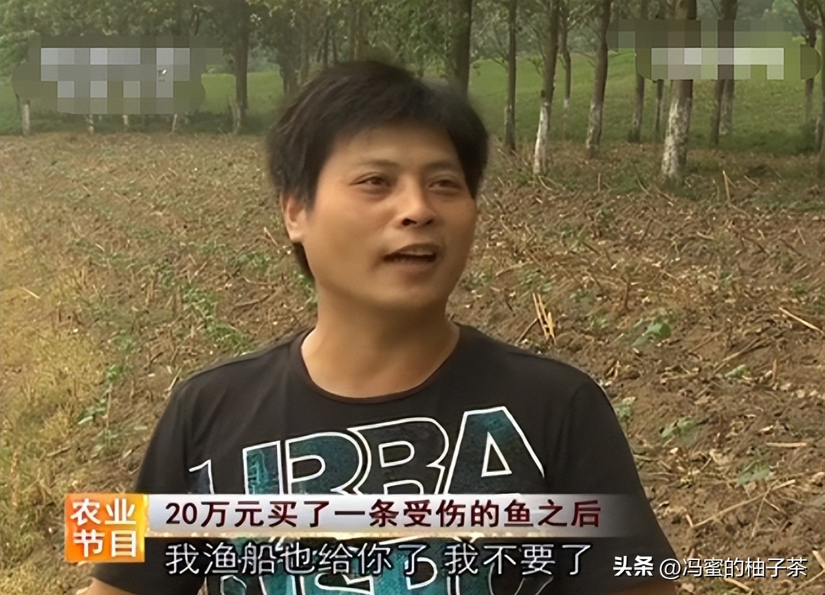男子花13万买的鱼因停电缺氧死亡,男子花20万买一条受伤鲶鱼后续