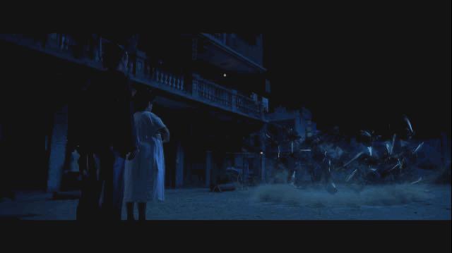 功夫冷知识2018,冷知识少林功夫