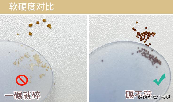 海藻面膜海藻是哪儿来的,海藻面膜的海藻是陆地上的吗