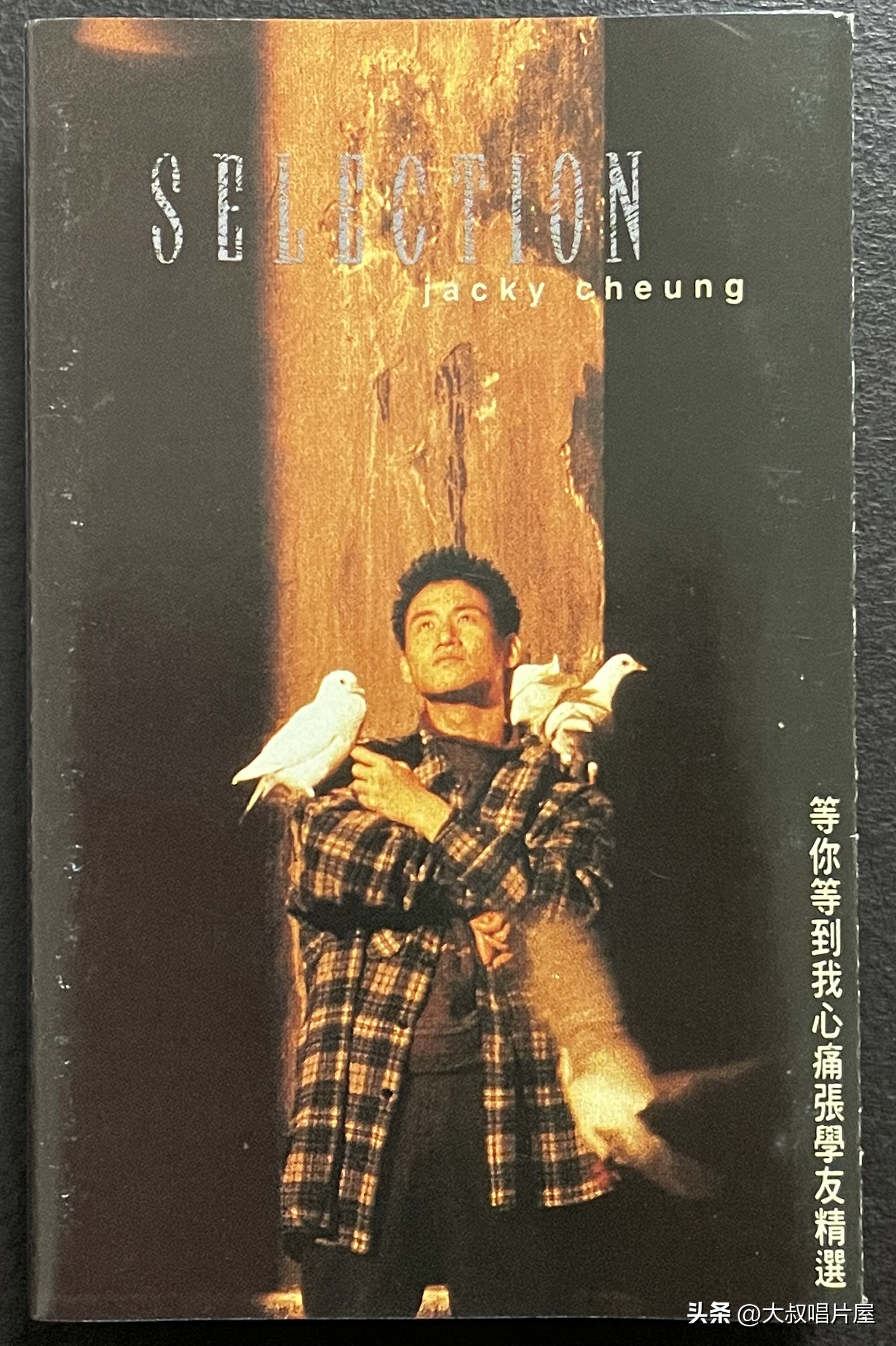 1993年最流行的歌是什么,03年最火的十首歌