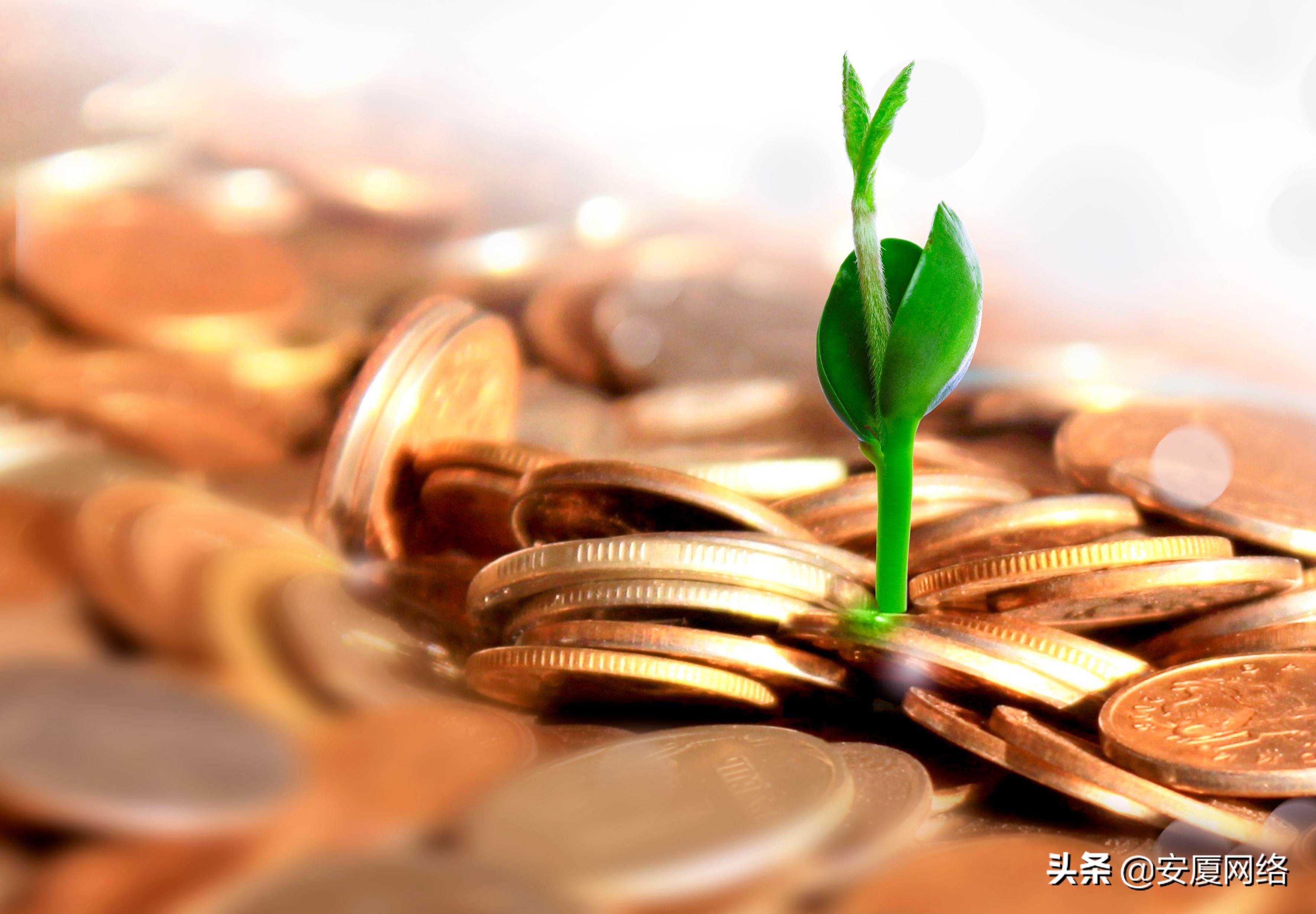 汇成财商是传销吗,汇成财商是洗脑吗