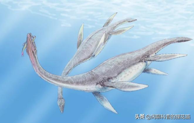 史前巨兽十大海洋霸主战斗力排名,史前最危险的十大海洋巨兽