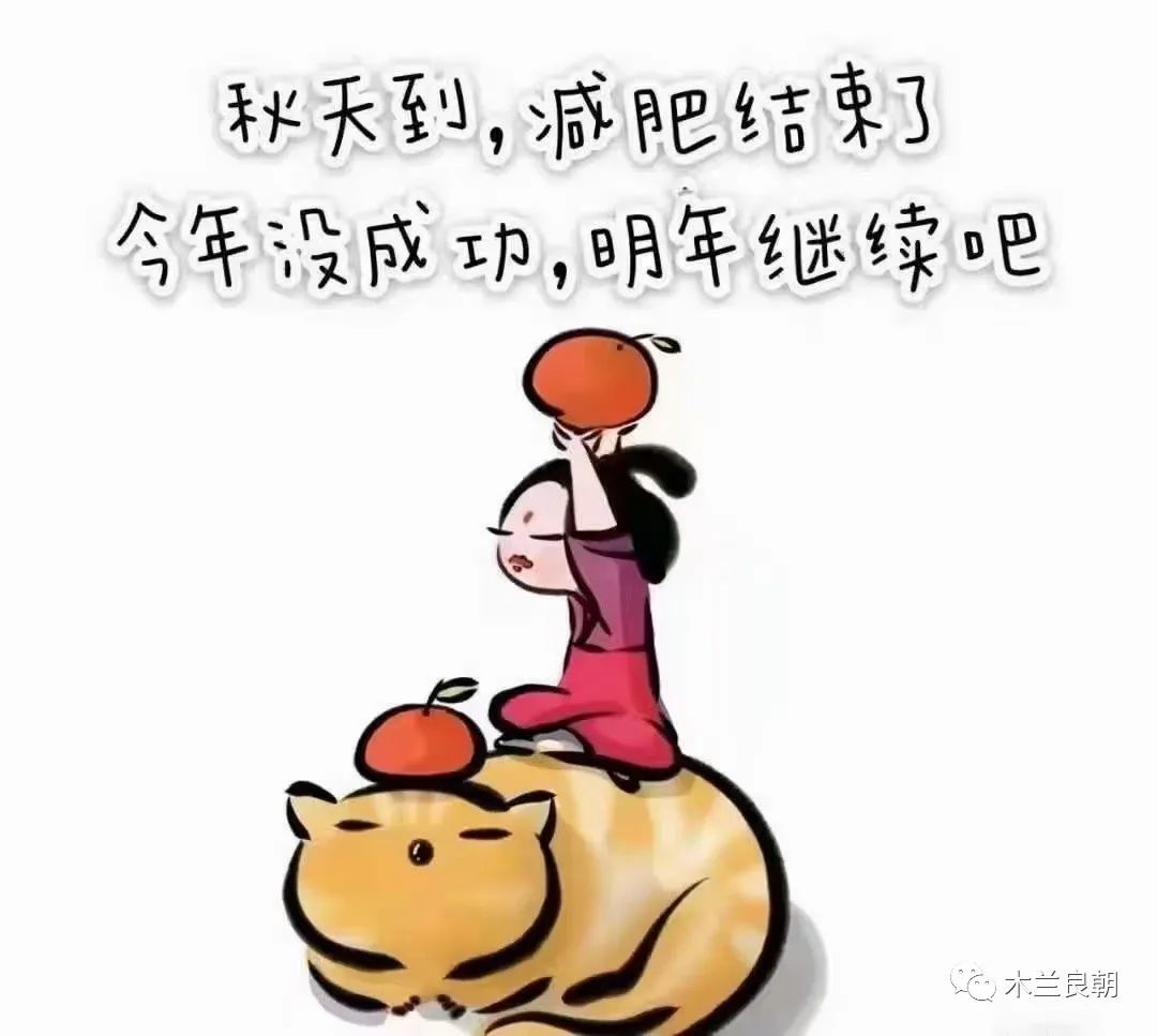 相亲之路后续,相亲之路到此结束