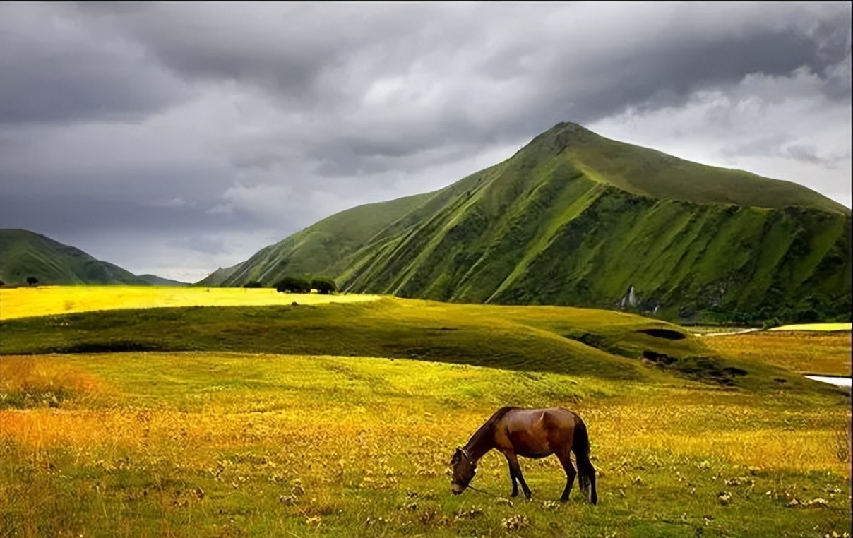 到达世界最美之城理塘,日光之城理塘