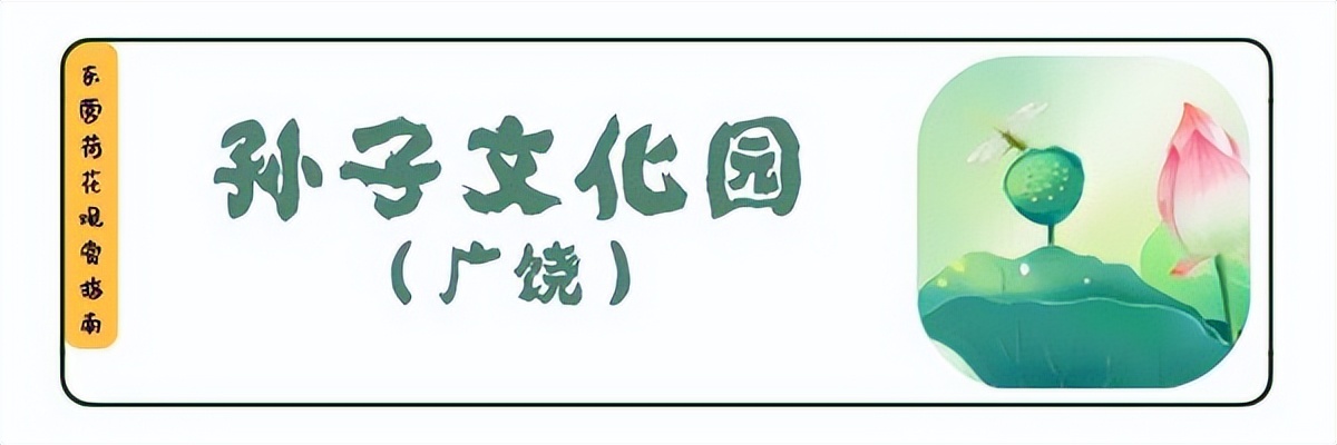 荷你有约环创,荷你有约完整视频